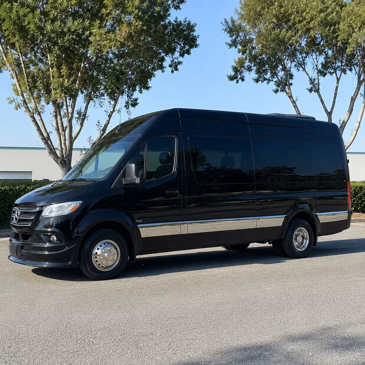 sprinter van with driver